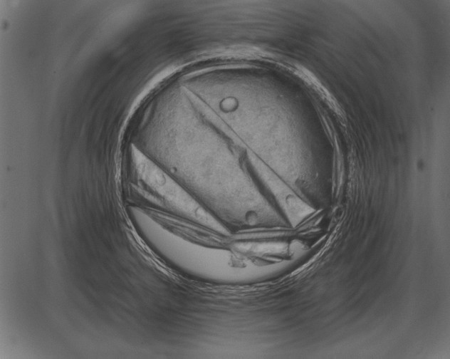 X0000085741232200704091501
