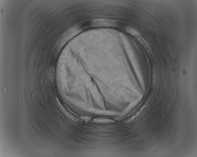 X0000085741233200704091501