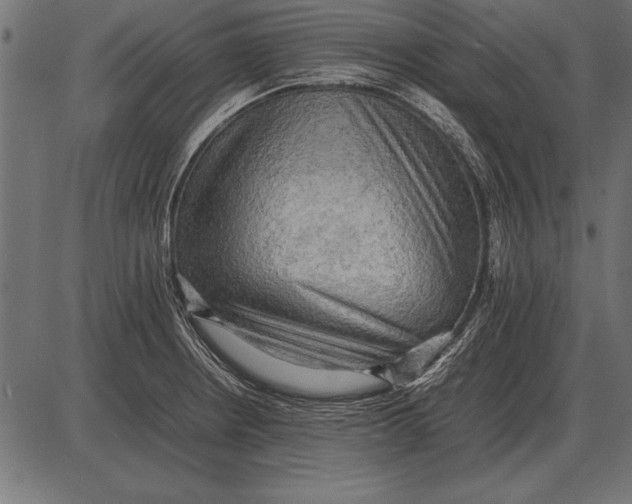 X0000085741234200704091501