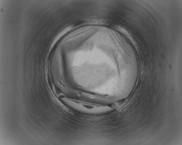 X0000085741235200704091501