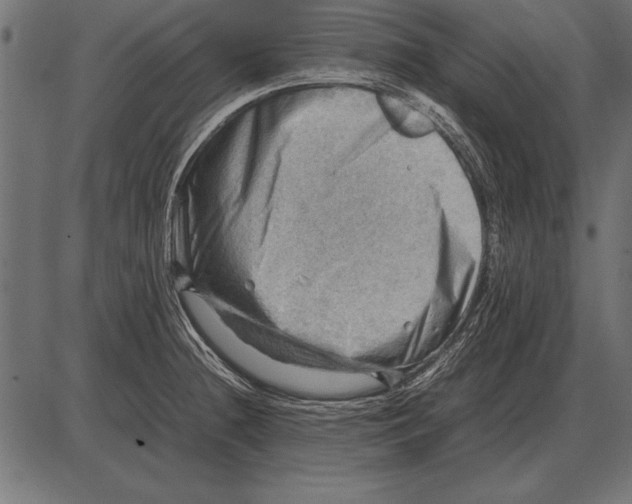 X0000085741236200704091501