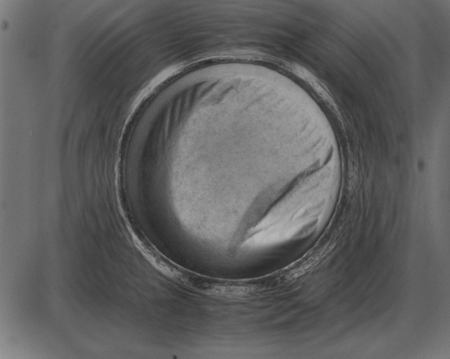 X0000085741237200704091501