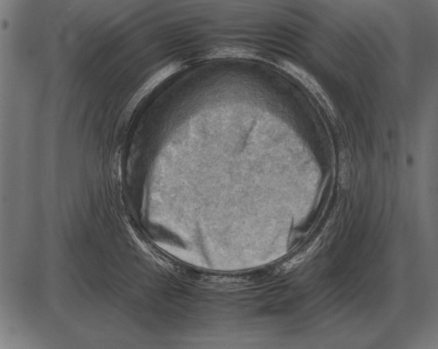X0000085741241200704091501