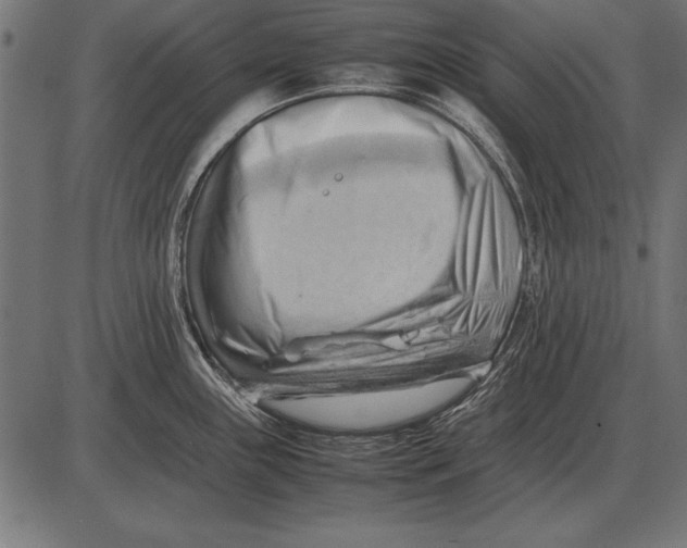 X0000085741243200704091501