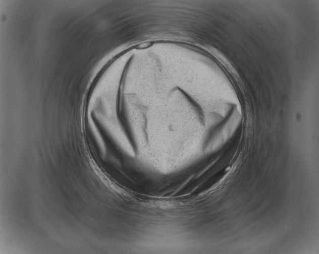 X0000085741246200704091502