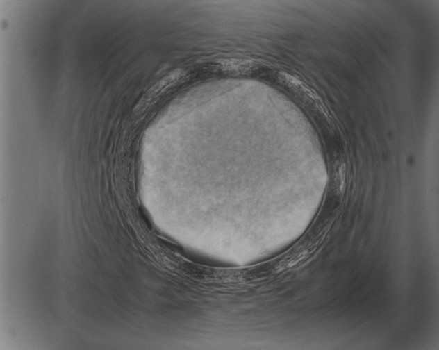 X0000085741249200704091501