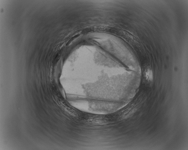 X0000085741252200704091501