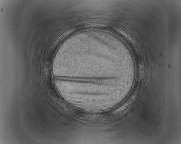 X0000085741257200704091501