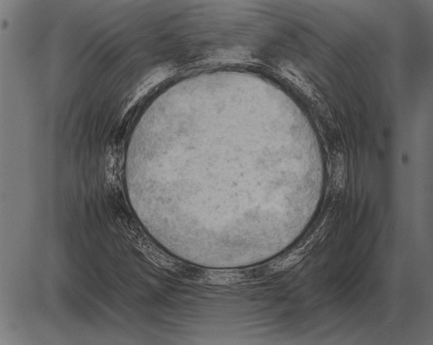 X0000085741258200704091501