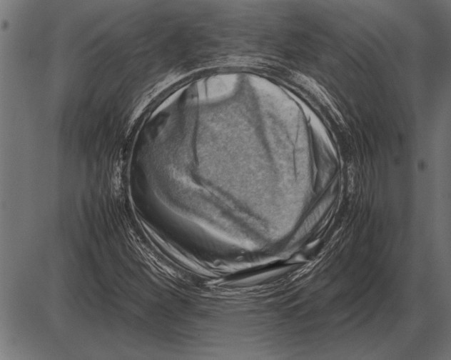 X0000085741260200704091501