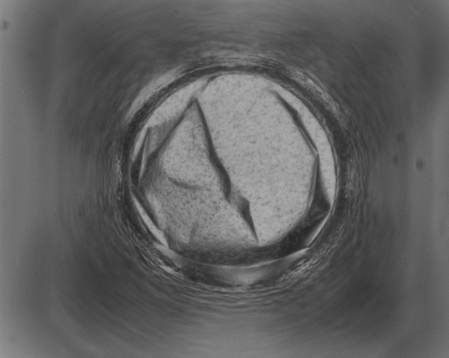 X0000085741261200704091501