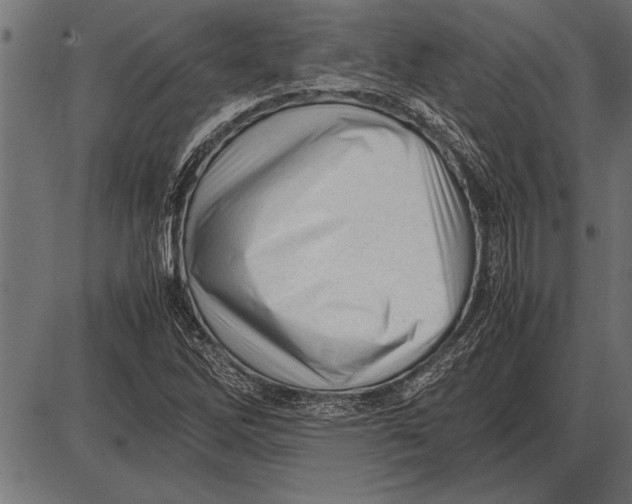 X0000085741262200704091501