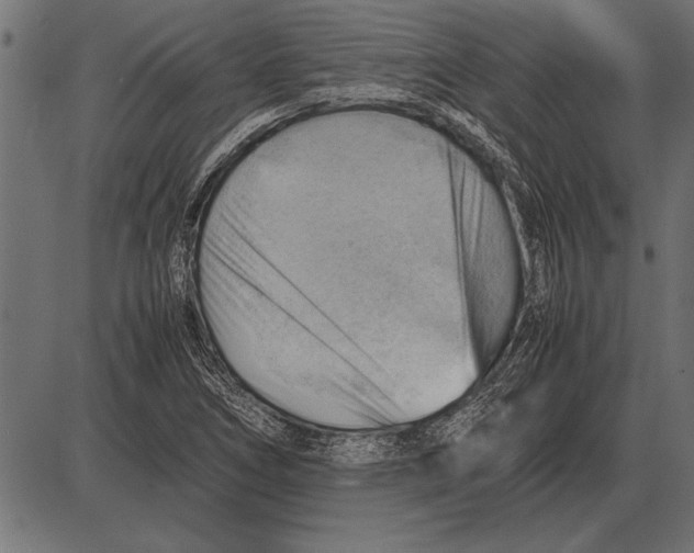 X0000085741266200704091500