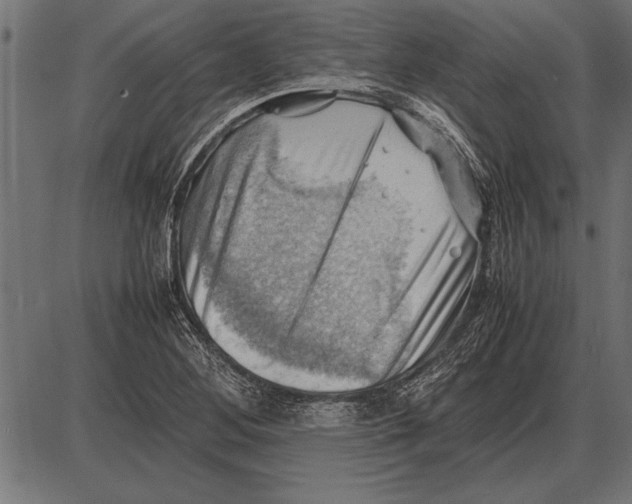 X0000085741268200704091500