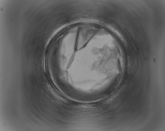 X0000085741272200704091500