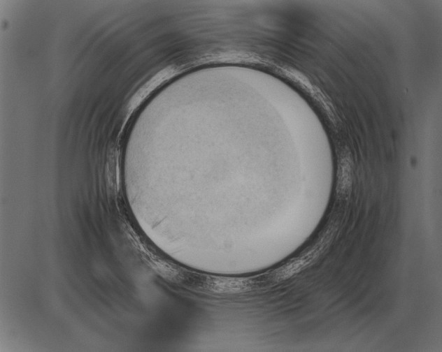 X0000085741274200704091500