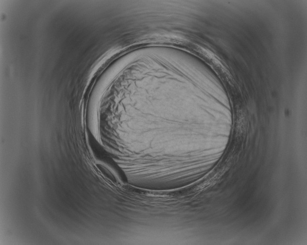 X0000085741275200704091500