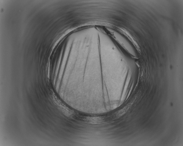X0000085741276200704091500