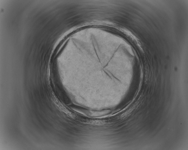X0000085741280200704091500
