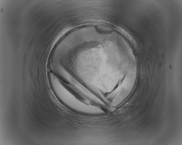 X0000085741283200704091500