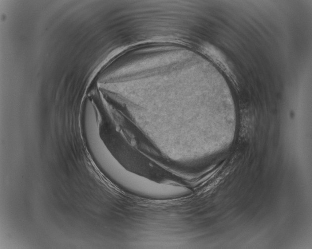X0000085741284200704091500
