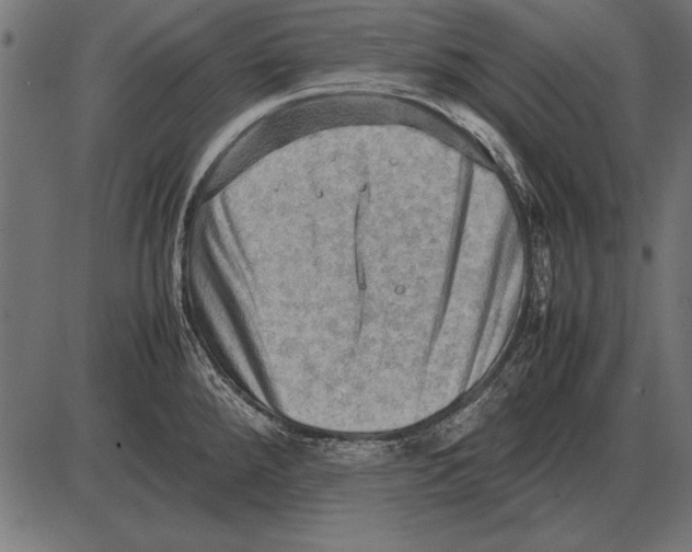 X0000085741288200704091500