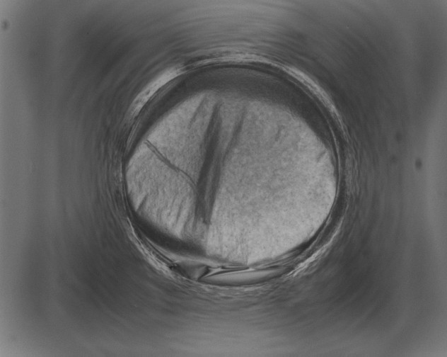 X0000085741289200704091500