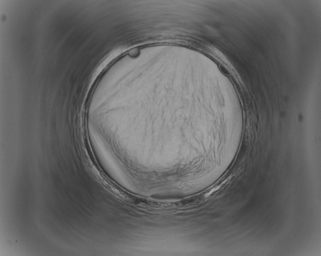 X0000085741291200704091500