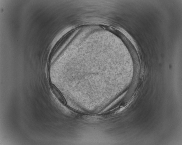 X0000085741293200704091500