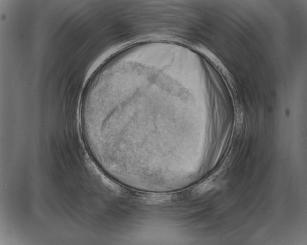 X0000085741294200704091500