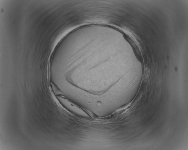 X0000085741295200704091500