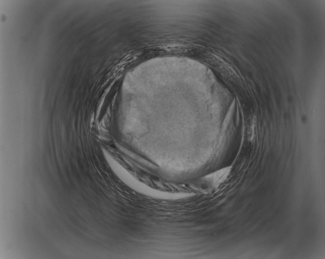 X0000085741298200704091459