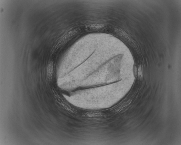 X0000085741299200704091459