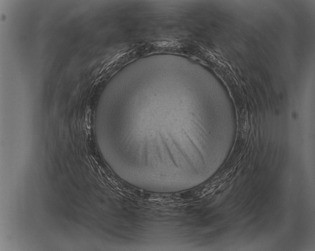 X0000085741301200704091459