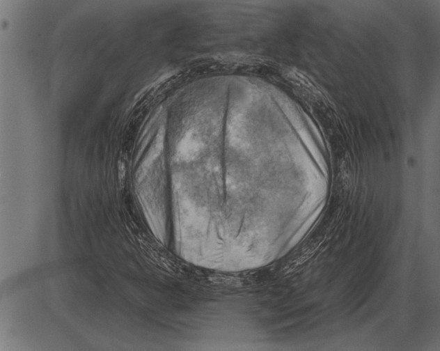 X0000085741302200704091459