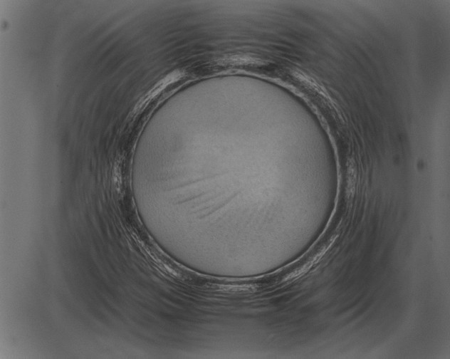 X0000085741305200704091459
