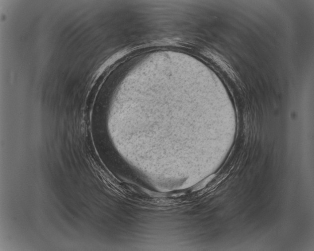 X0000085741308200704091459