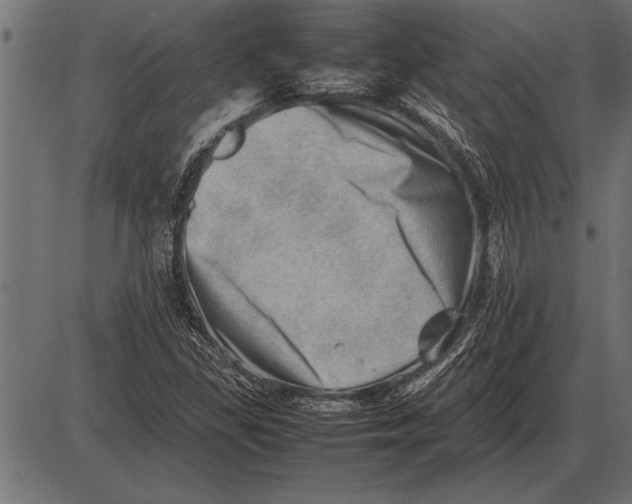 X0000085741309200704091459