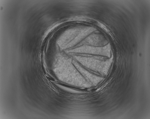 X0000085741312200704091459