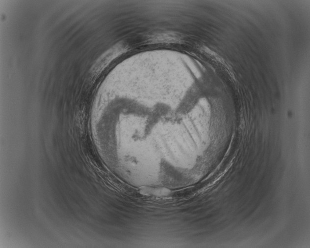 X0000085741313200704091459