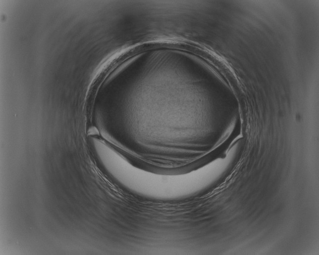 X0000085741319200704091500