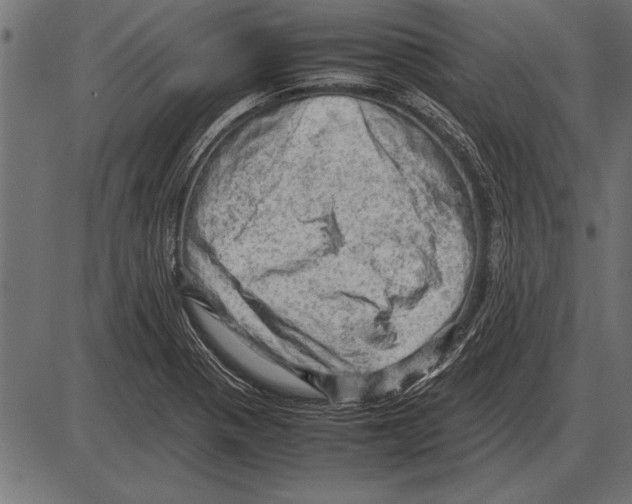 X0000085741321200704091500