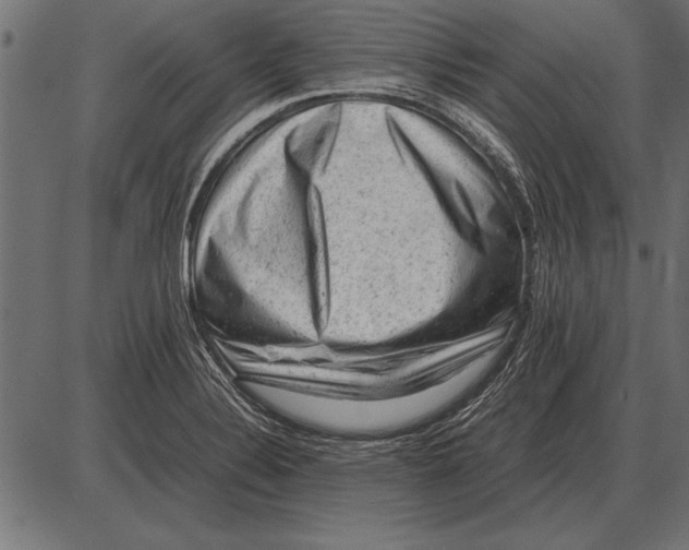X0000085741324200704091500