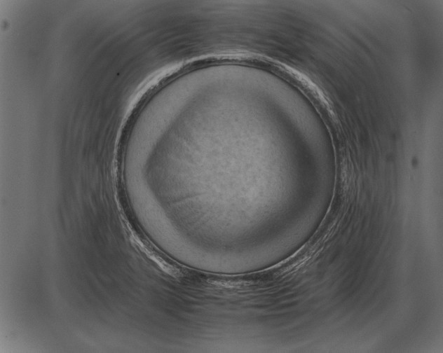 X0000085741327200704091500