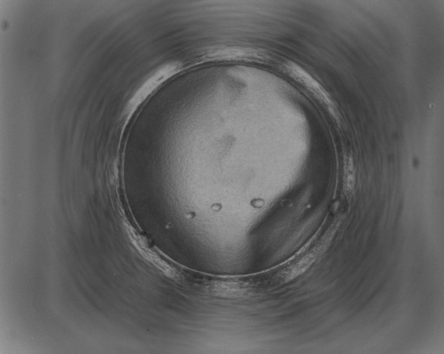 X0000085741330200704091500