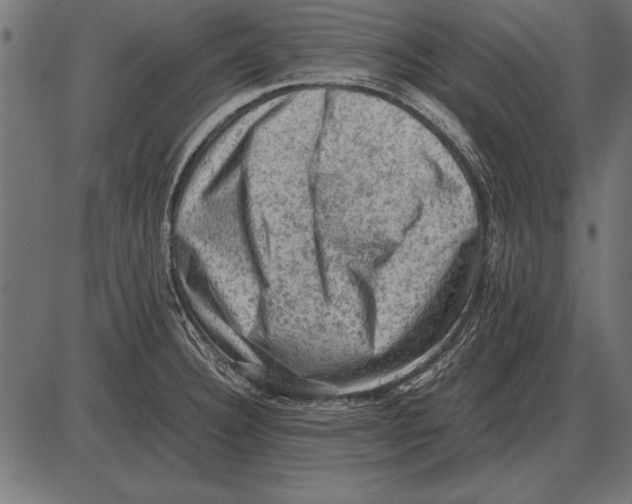 X0000085741332200704091500