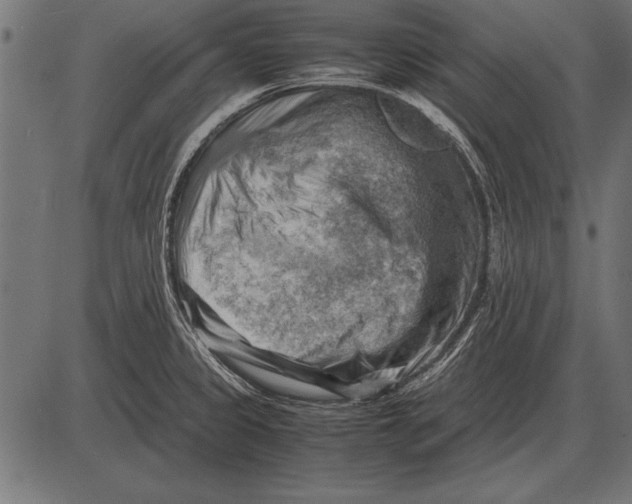 X0000085741333200704091500