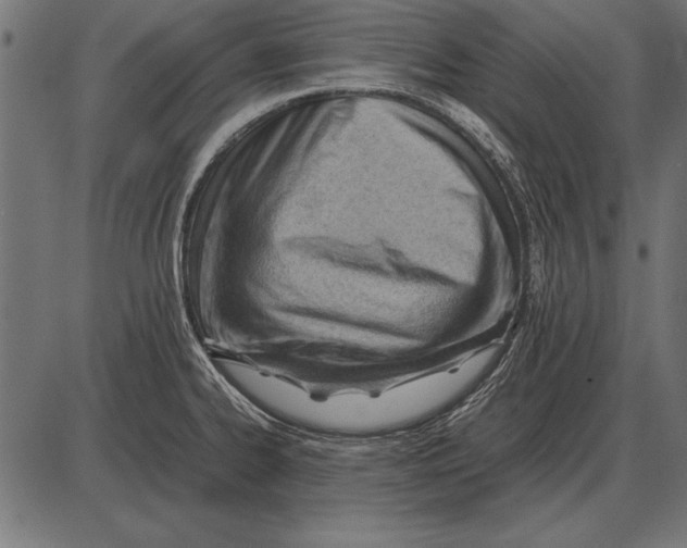 X0000085741334200704091500