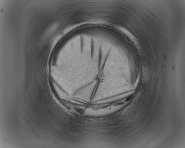 X0000085741335200704091500