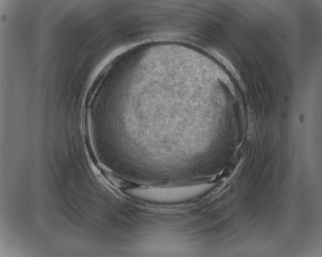 X0000085741342200704091500